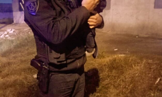Policías salvaron a un niño que se ahogaba en Ciudad de Mis Sueños
