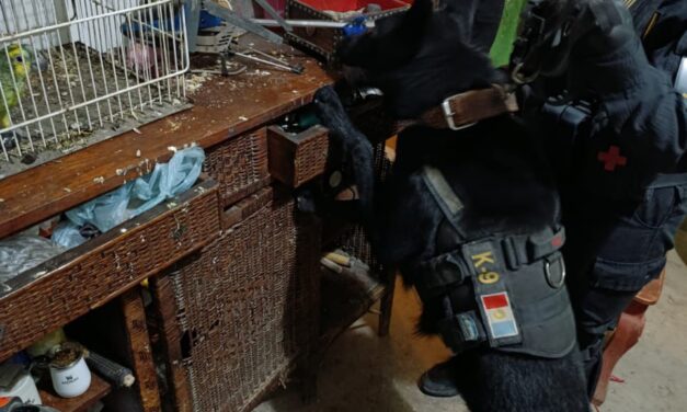 Cayó un kiosco narco en Villa Páez: una detenida