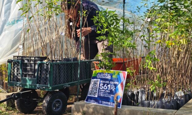 CEPROCOR donó más de 500 árboles nativos para forestar Córdoba