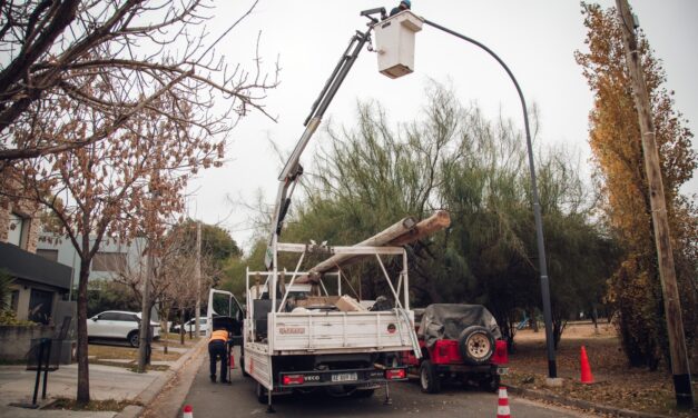 Ya repararon más de 8.000 luminarias en la ciudad