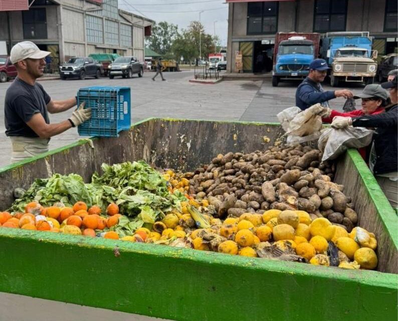 Transforman residuos en empleo verde