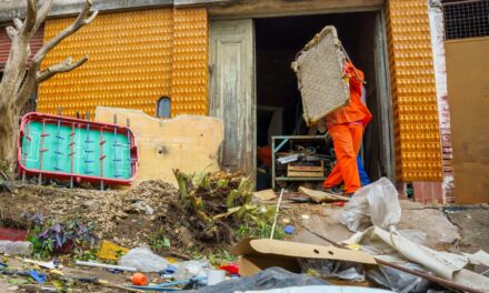 Retiraron 805 toneladas de basura de una casa