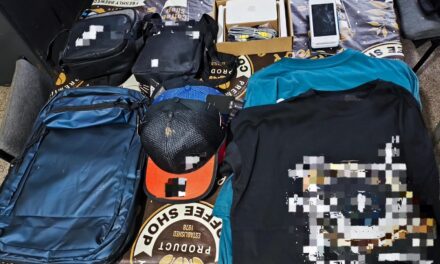 Detuvieron a un joven tras un robo en un comercio de Argüello
